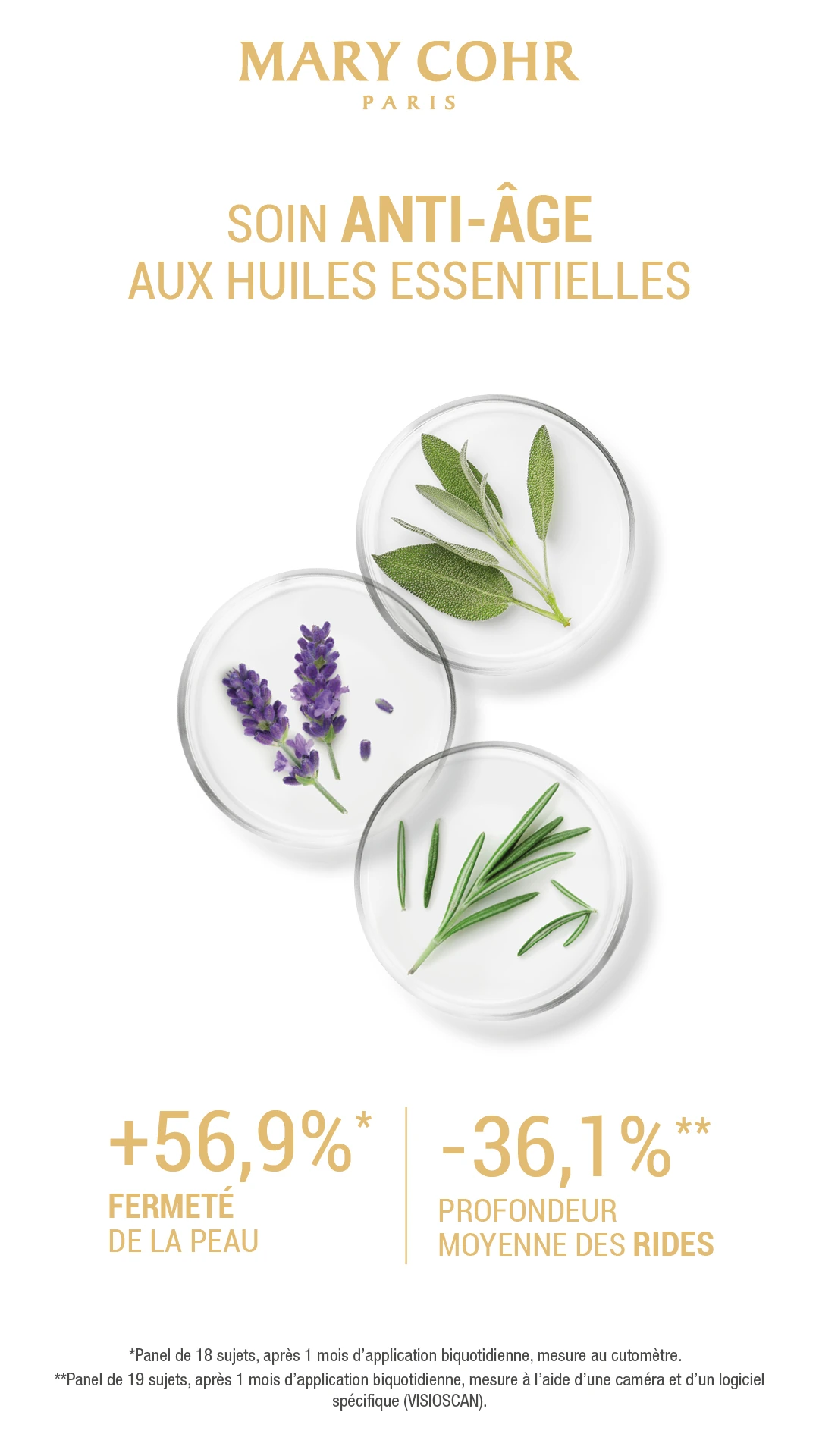 Aromatic — les ingrédients — Mary Cohr
