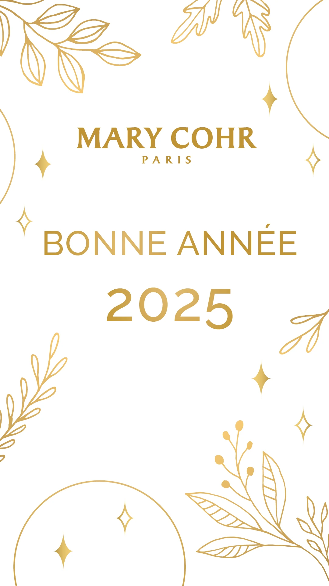 Les vœux 2025 — story 01 — Mary Cohr